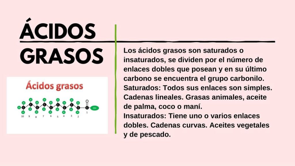 Descubre Los Alimentos M S Saludables Y Ricos En Cidos Grasos Omega