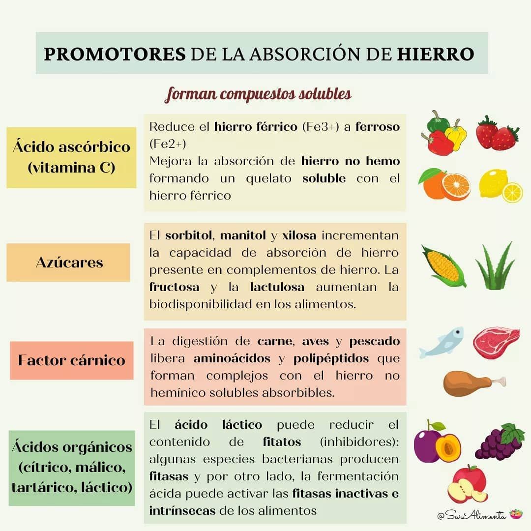 absorcion hierro