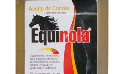 aceite canola