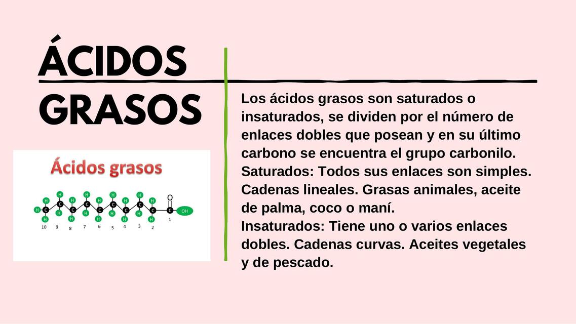 acidos grasos