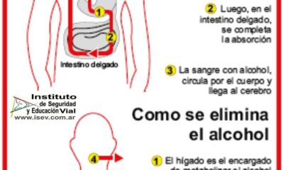 alcohol cuerpo