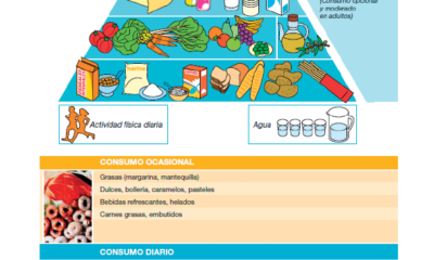 alimentacion saludable