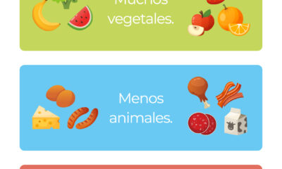 alimentacion saludable