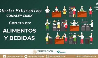 alimentos bebidas