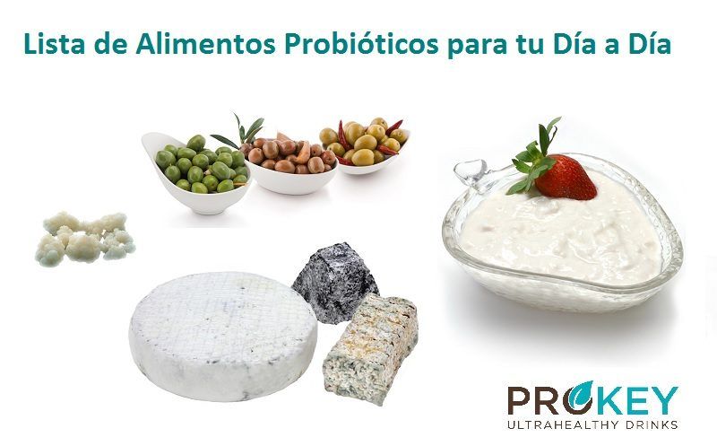 alimentos probioticos