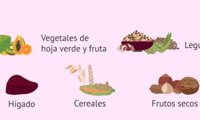 alimentos ricos