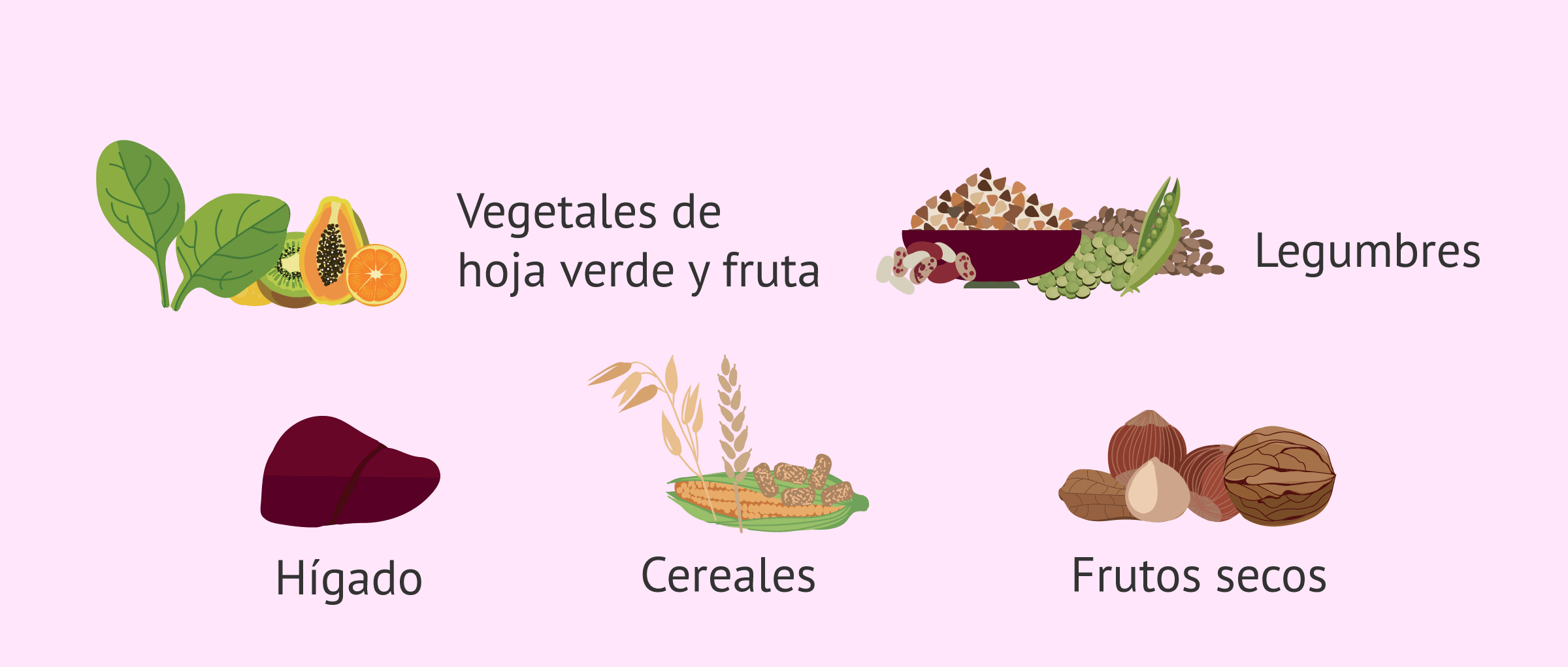 alimentos ricos