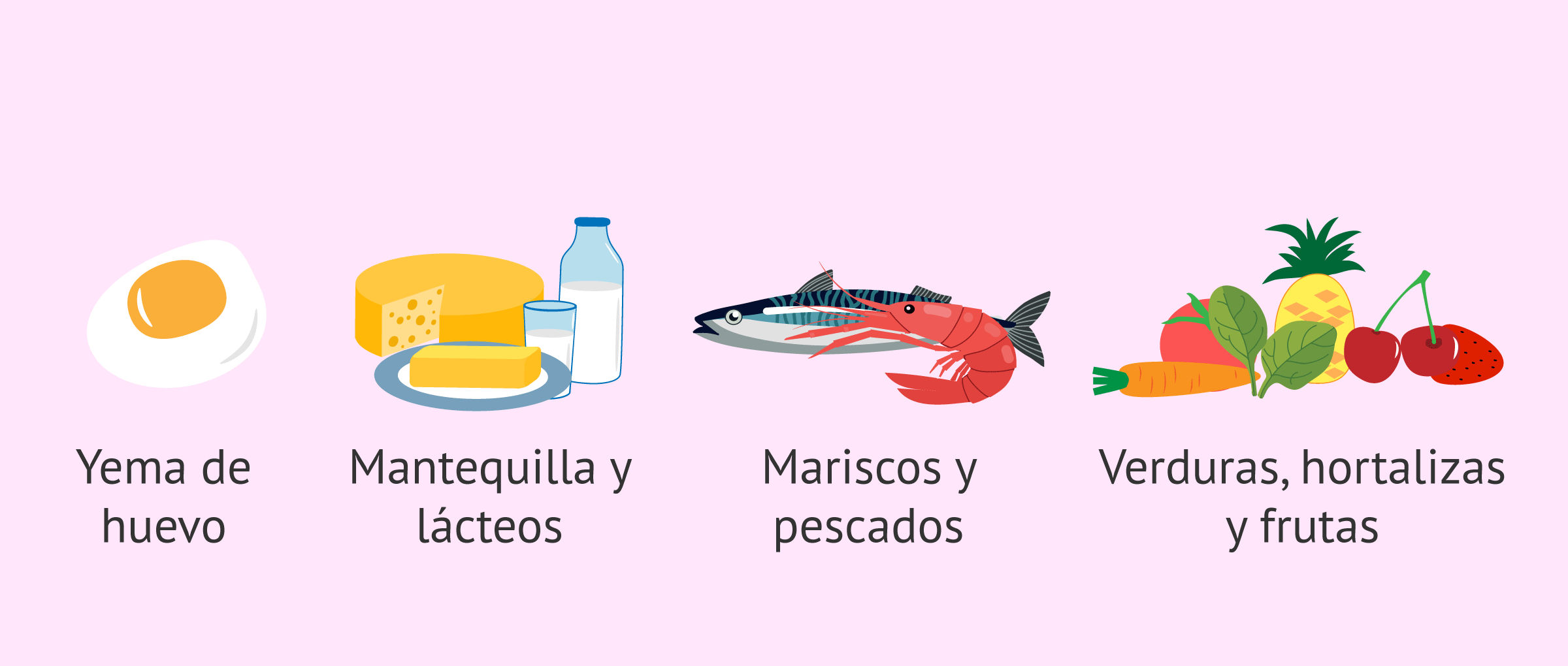 alimentos ricos