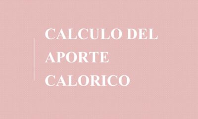 aporte calorico