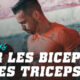 biceps triceps