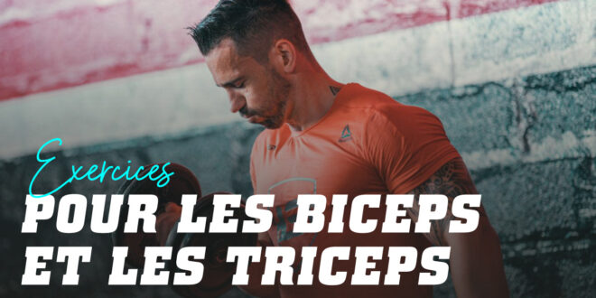 biceps triceps