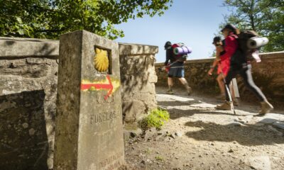 camino santiago