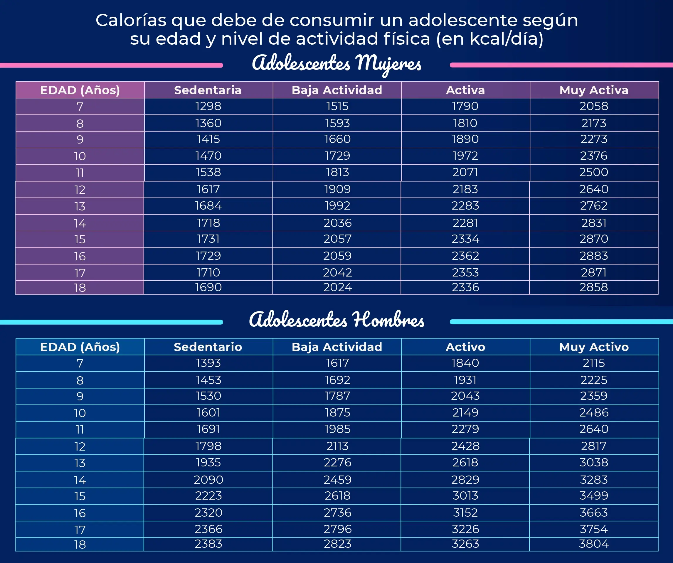 cantidad calorias