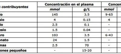 cantidad sudor