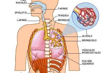 capacidad pulmonar