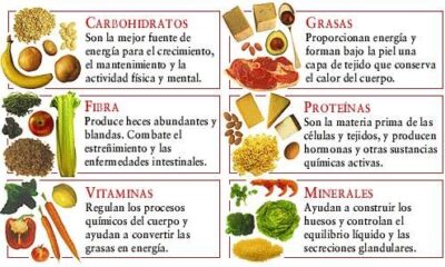 carbohidratos grasas