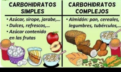 carbohidratos simples