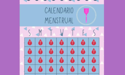 ciclo menstrual