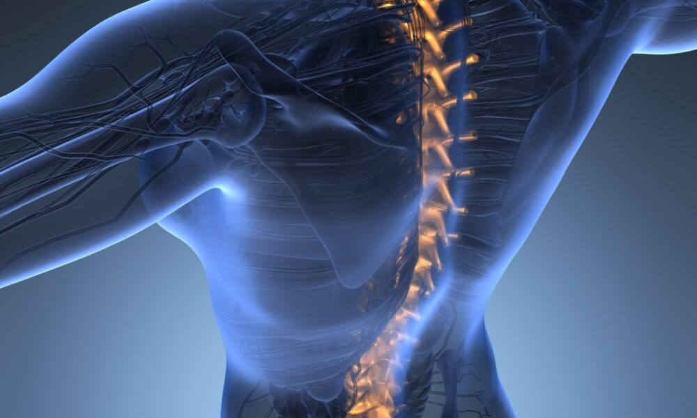 ¿Qué es la rectificación de la lordosis fisiológica y cómo afecta nuestra salud? Es Nutrición ¿Qué es la rectificación de la lordosis fisiológica y cómo afecta nuestra salud? Es Nutrición