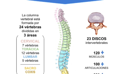 columna vertebral