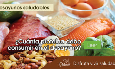 consumir proteina