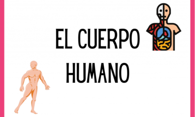 cuerpo humano