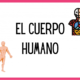 cuerpo humano