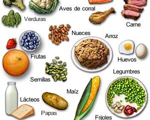 dieta gluten