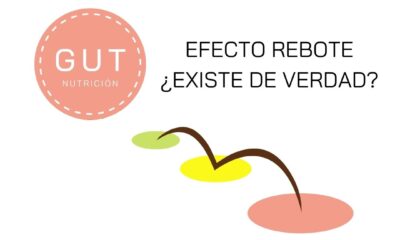 efecto rebote