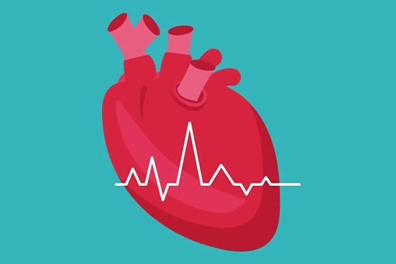 enfermedades cardiovasculares