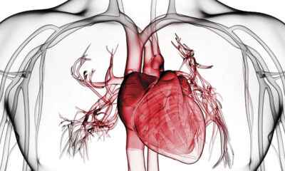 enfermedades corazon