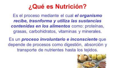 es nutricion