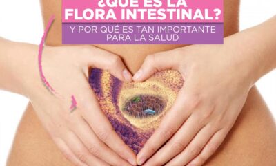 flora intestinal