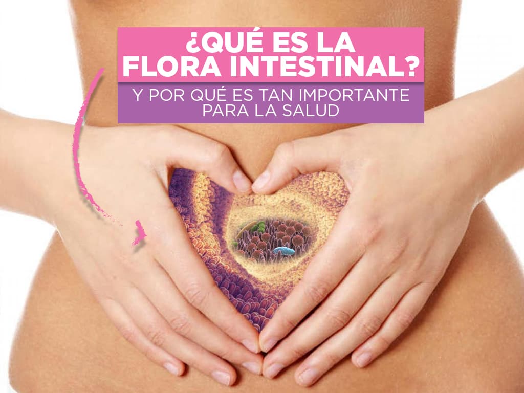 flora intestinal