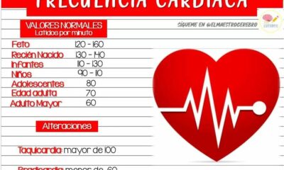 frecuencia cardiaca