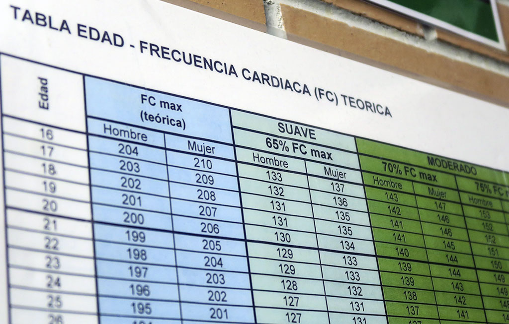 frecuencia cardiaca