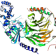 gramos proteina