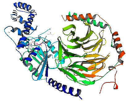 gramos proteina