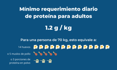 gramos proteina