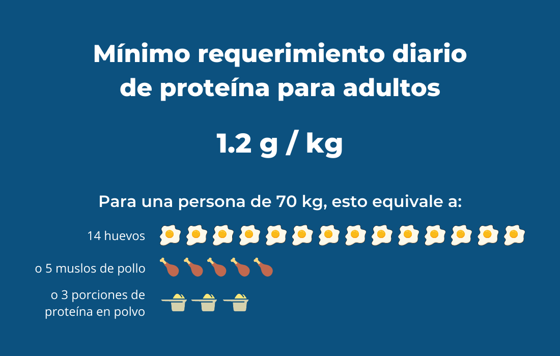 gramos proteina