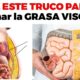 grasa visceral