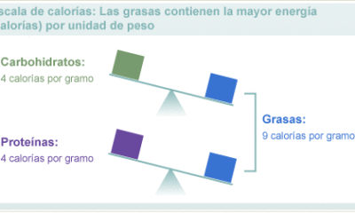 grasas calorias