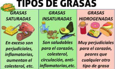 grasas saturadas