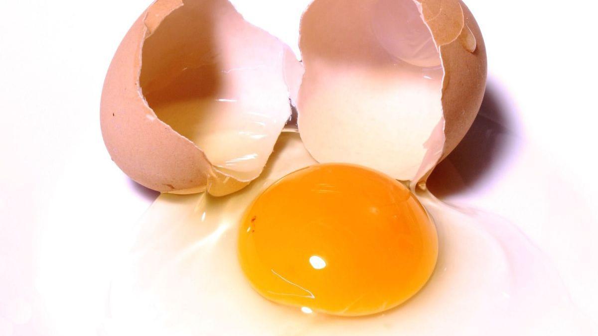 huevo abierto
