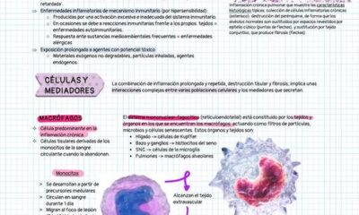 inflamacion cronica