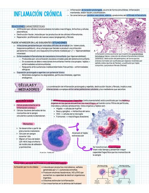 inflamacion cronica