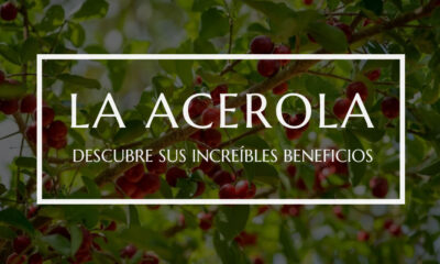 la acerola