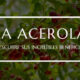 la acerola