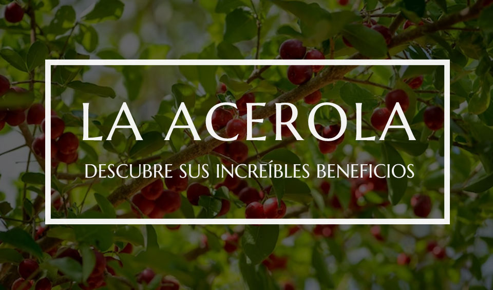 la acerola