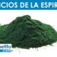 la espirulina